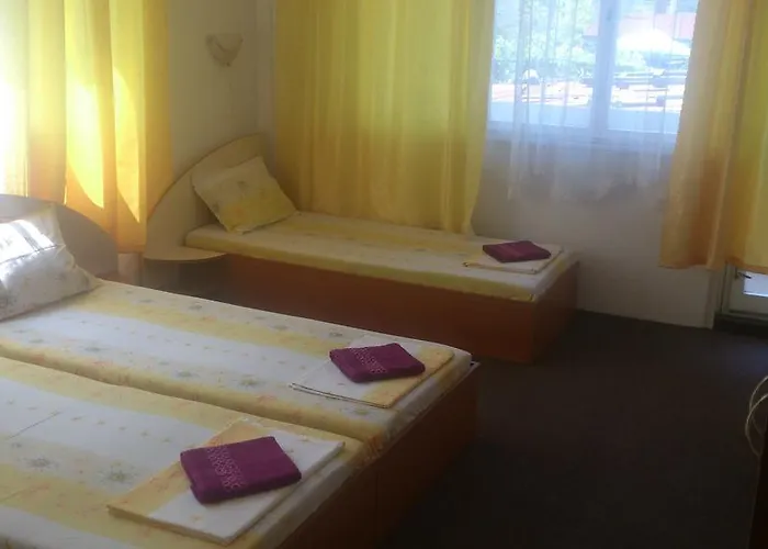 Maison d'hôtes Svetla 2*